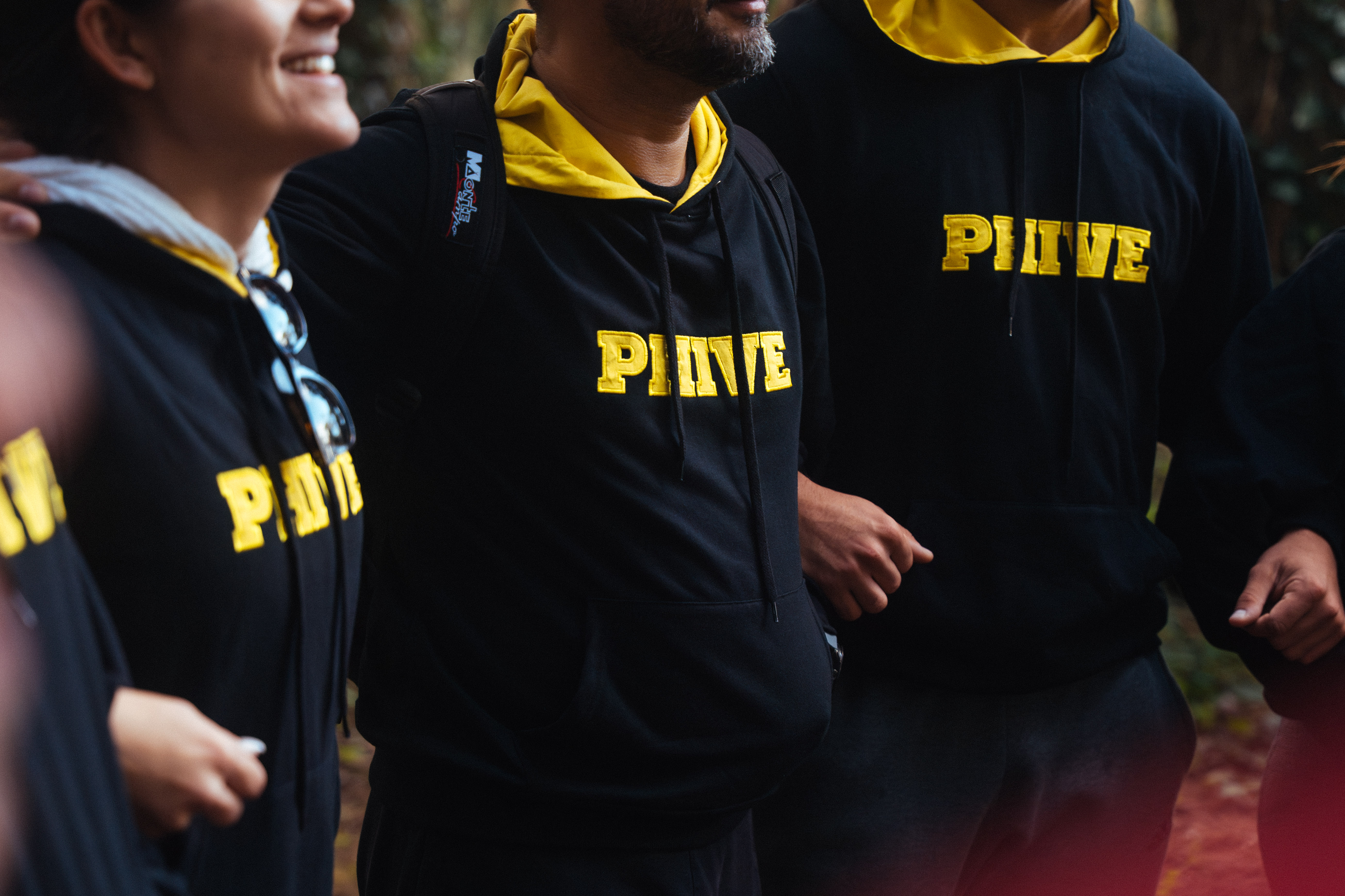 PHIVE